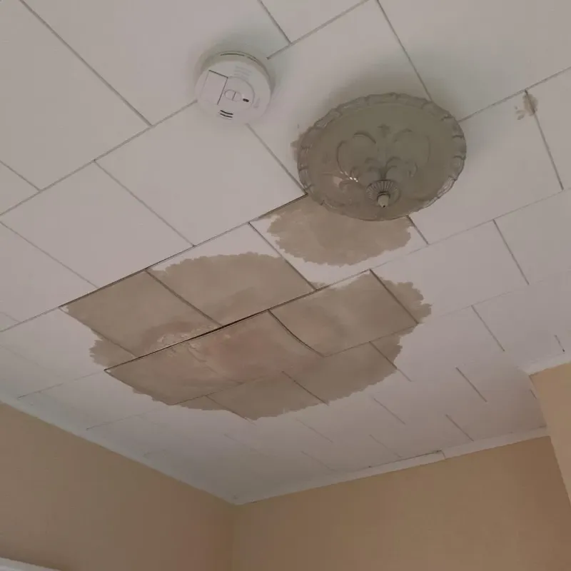 Ceiling Water Damage Repair in Plainfield, IL