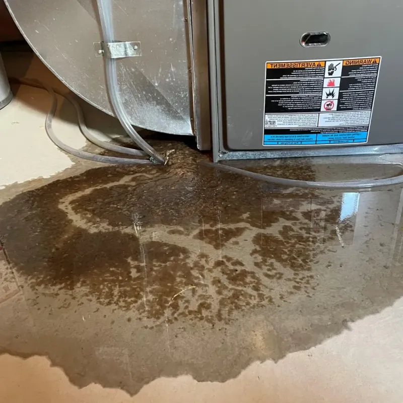 Pipe Burst and Leak Restoration in Plainfield, IL
